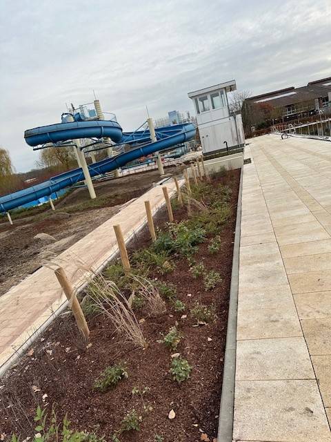 Sprungturm Sprungturm